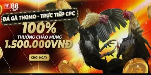 Khuyến Mãi Đá Gà M88 Có Gì Đặc Sắc? Gợi Ý Cho Tân Thủ